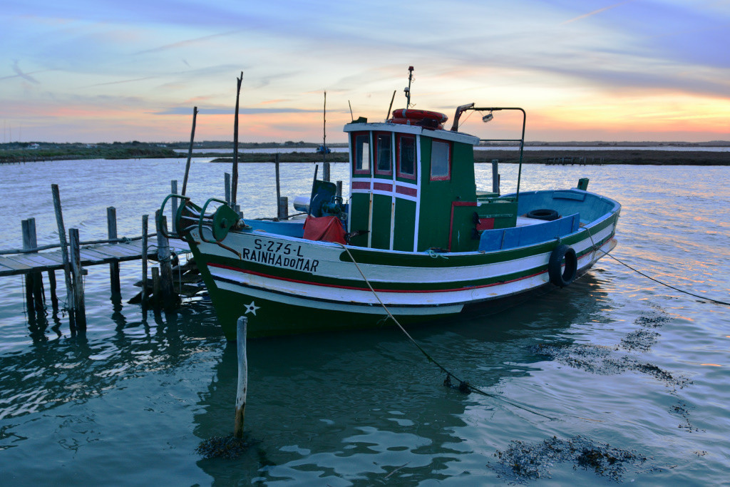 DSC_2994_01_00042.jpg DSC_2994_01_00042.jpg