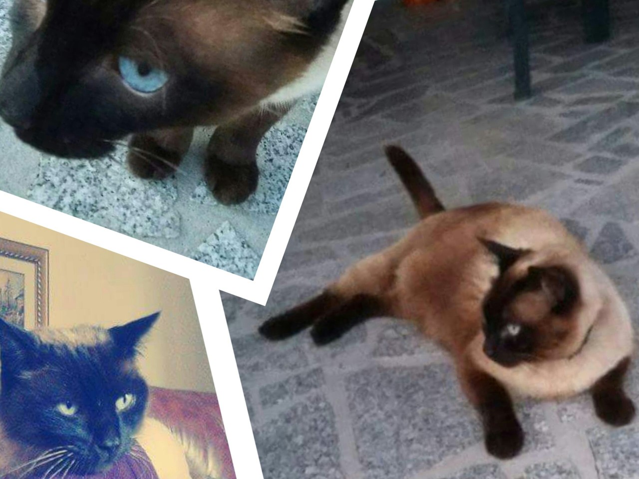 2015-06-05 12.43.24.jpg