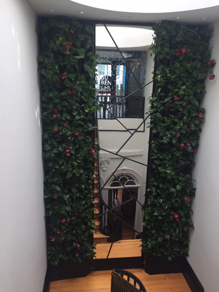 IMG_1034.JPG IMG_1034.JPG