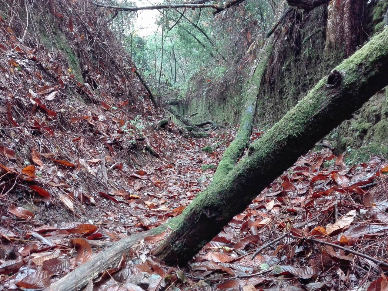 25319748_10215362660010548_21918732_o.jpg 25319748_10215362660010548_21918732_o.jpg