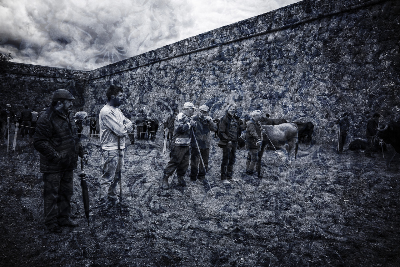 Santos 2015 (1) 296 - cópia copy.jpg