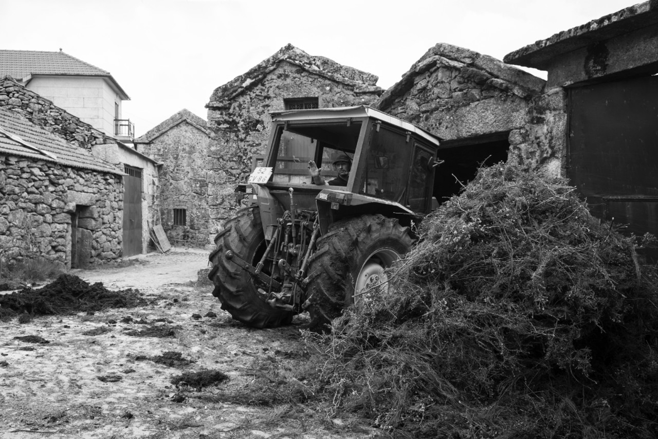 Barroso - Penedones, ETC, XT1 173 - cópia copy -