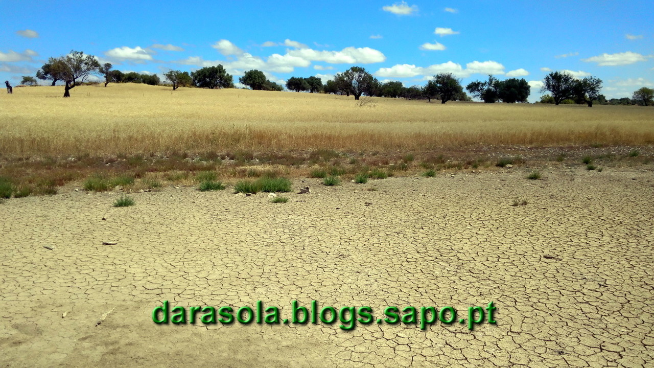 Castro_Marim_2_05.jpg Castro_Marim_2_05.jpg