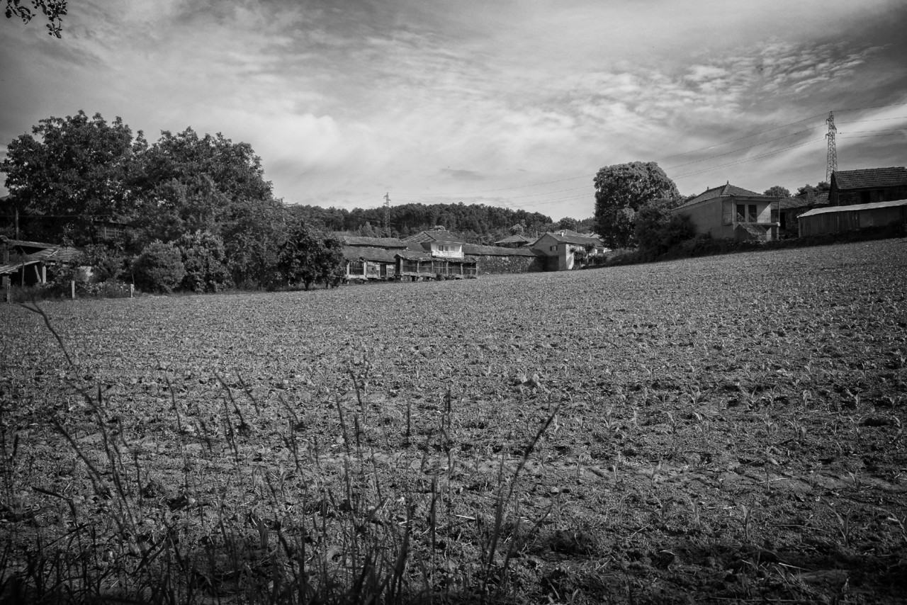 DSCF6715 - cópia copy.jpg