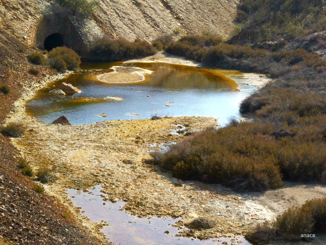 Mina S.Domingos (7).jpg