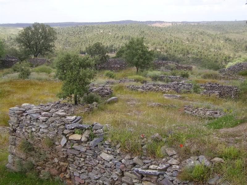 IMGP0200.jpg IMGP0200.jpg