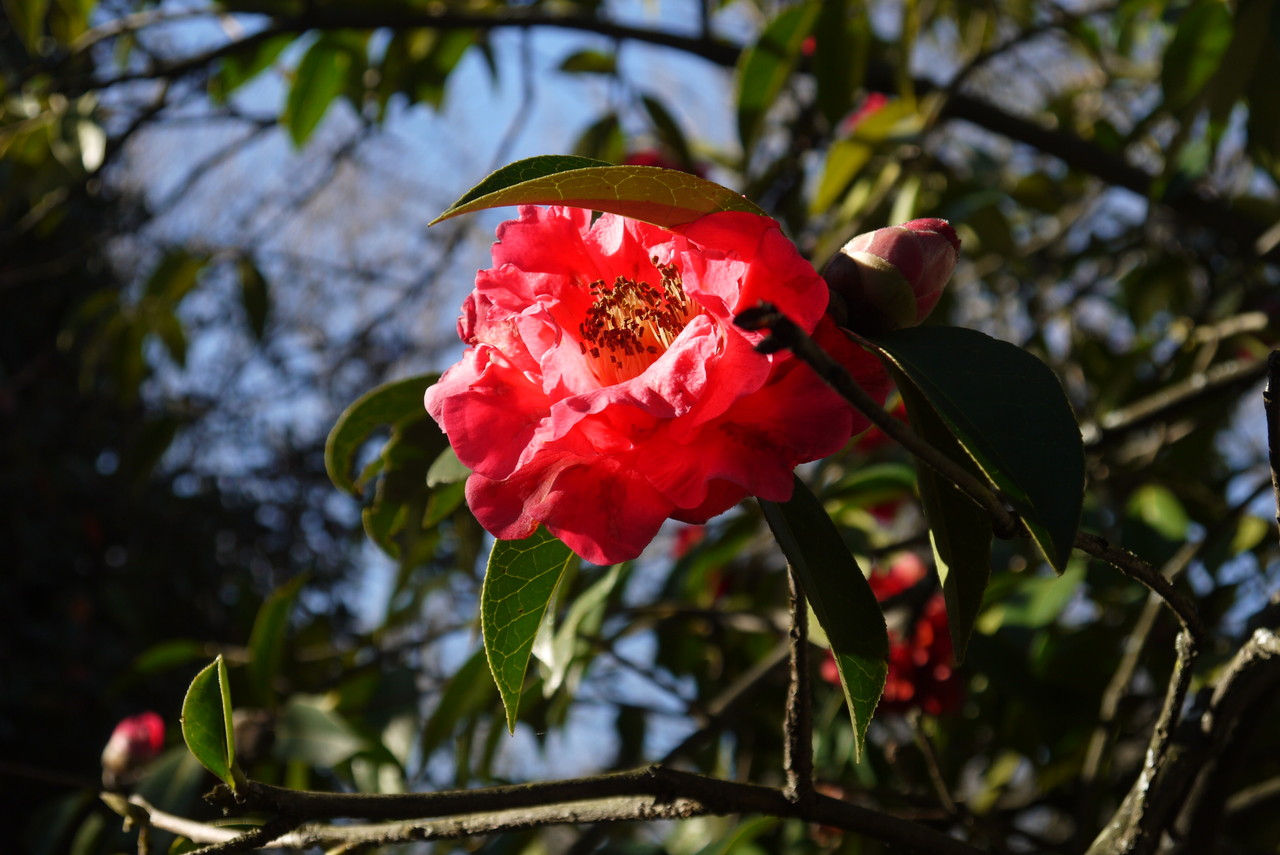 Jardim Botânico11.JPG