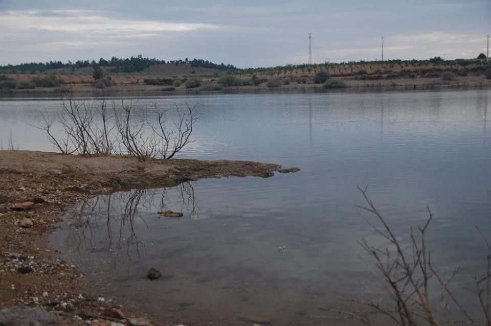 19399996_10208618933502678_3330026695294879873_n.j