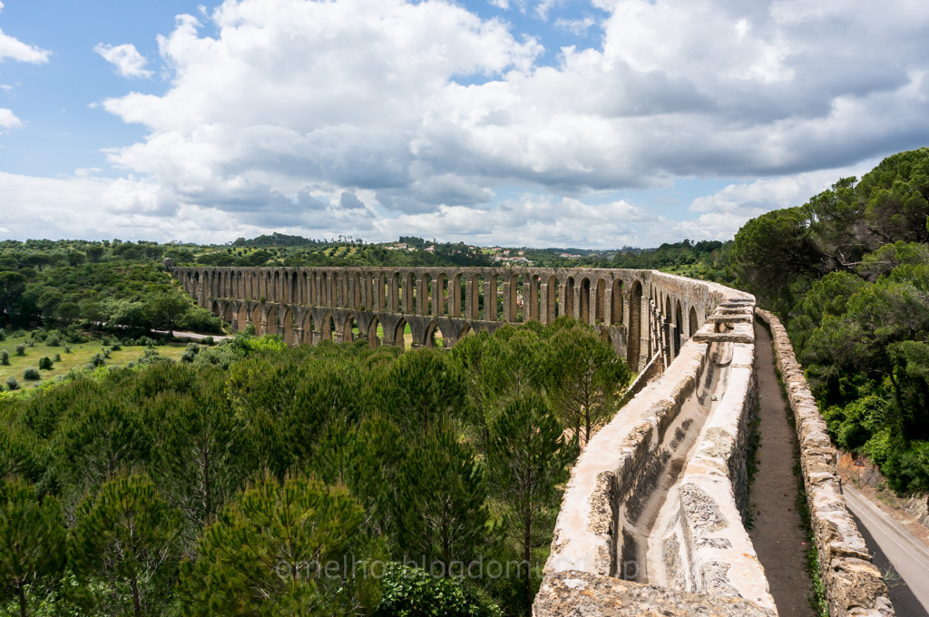 _DSC7312.jpg _DSC7312.jpg