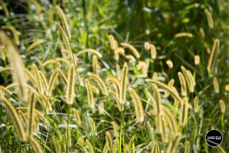 14702509_1292812720750898_5783107985119150958_n.jp 14702509_1292812720750898_5783107985119150958_n.jp