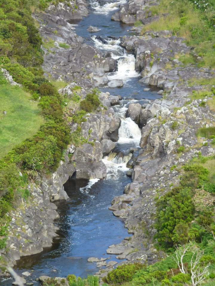 Ribeira do Moinho, Flores (2).JPG