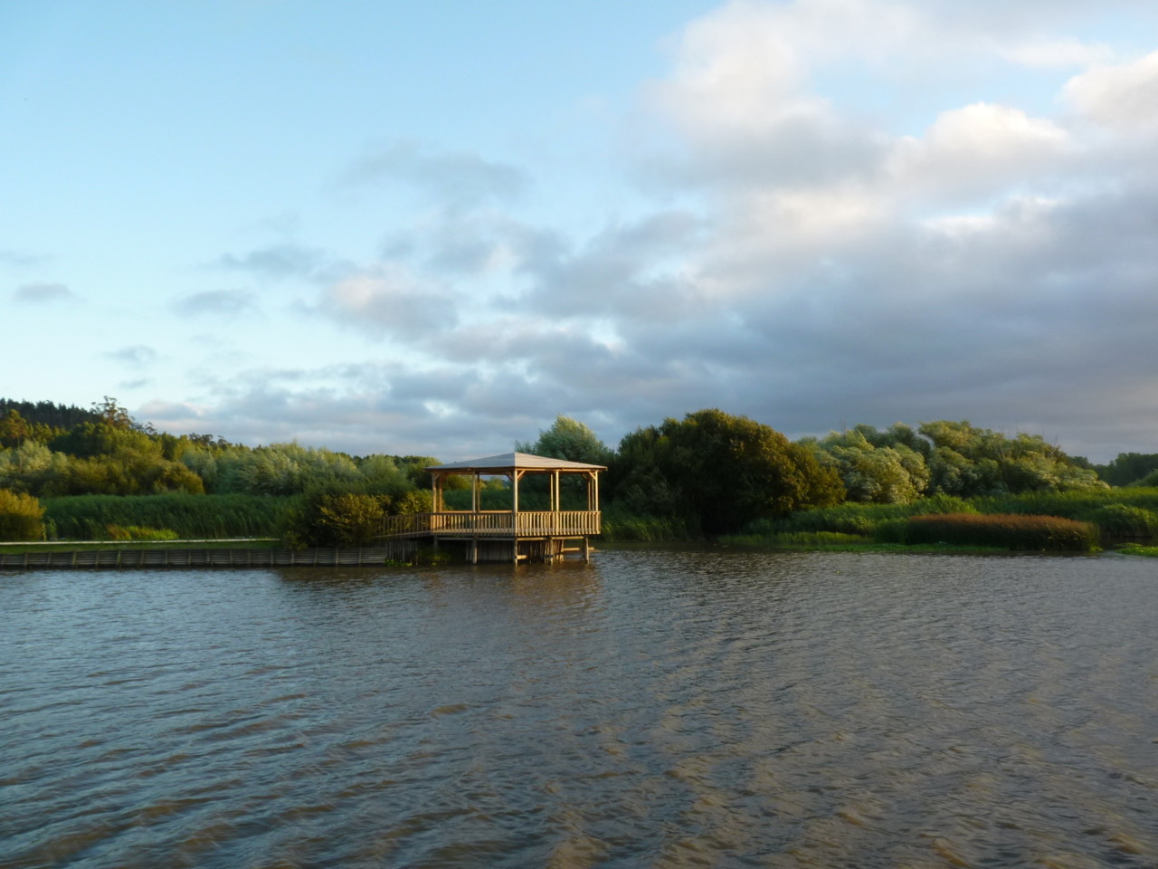 Pateira de Fermentelos.JPG