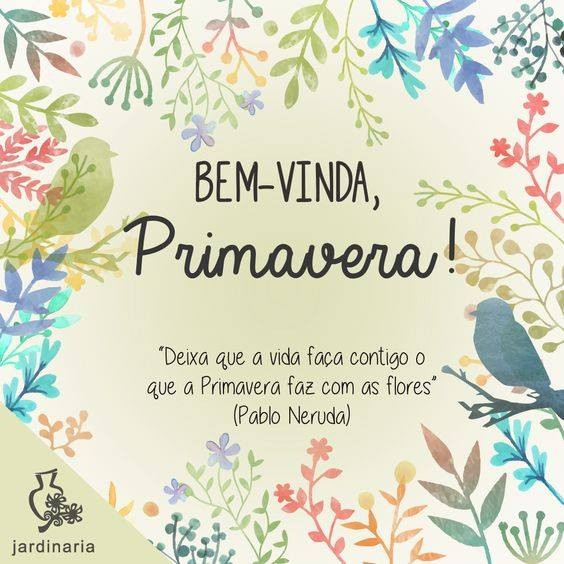 29366345_10160192661780013_8344214883021094912_n.j 29366345_10160192661780013_8344214883021094912_n.j