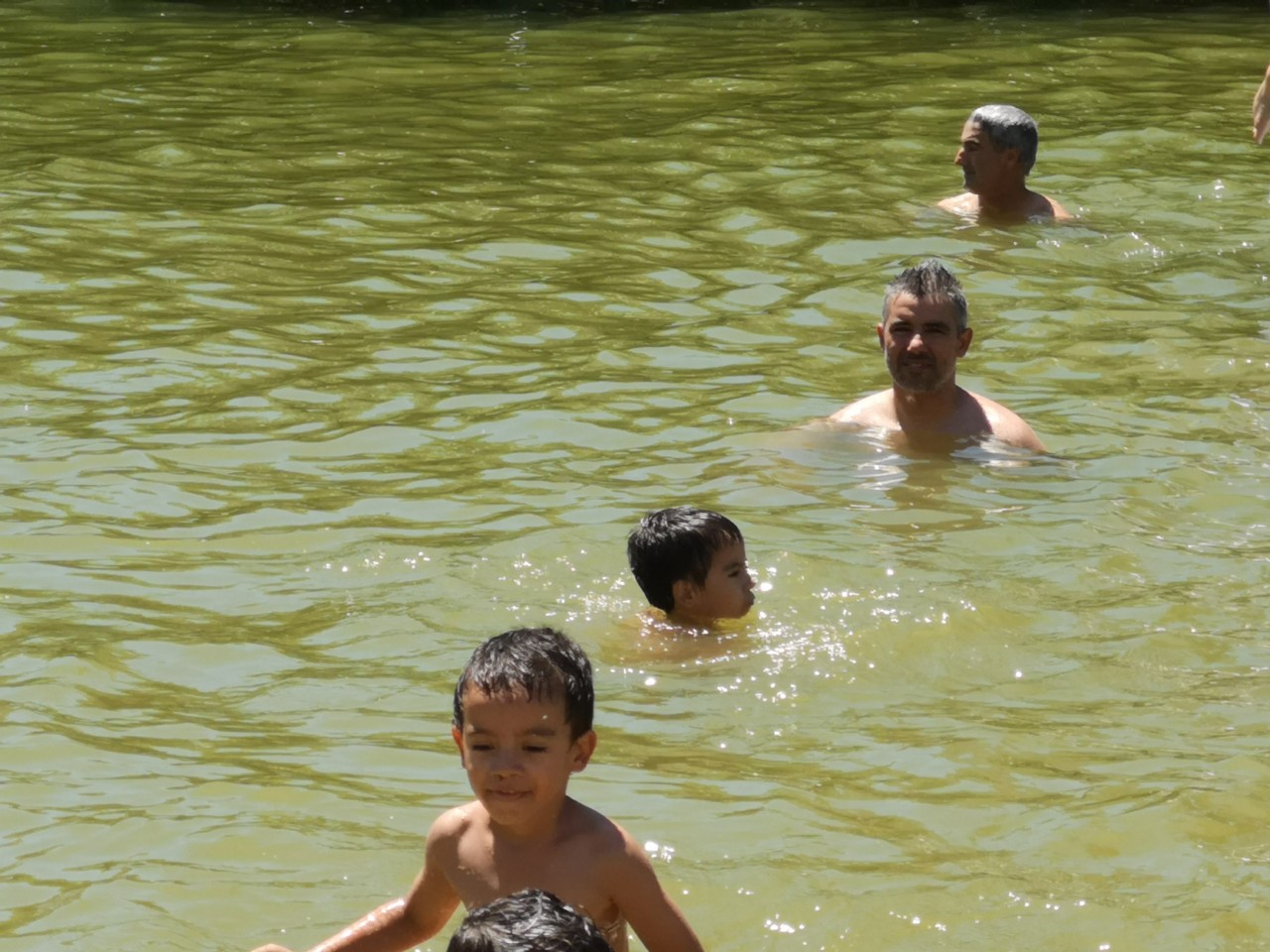 IMG_20190804_124939.jpg IMG_20190804_124939.jpg