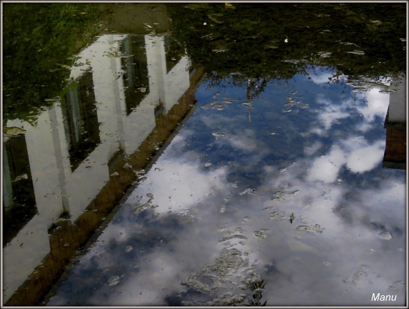 IMG_8660 reflexos.jpg IMG_8660 reflexos.jpg