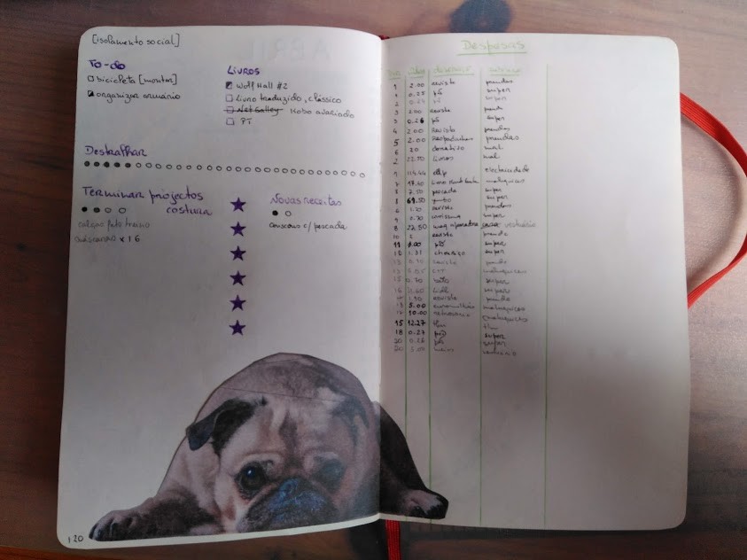 IMG_20200422_094001_748.jpg IMG_20200422_094001_748.jpg