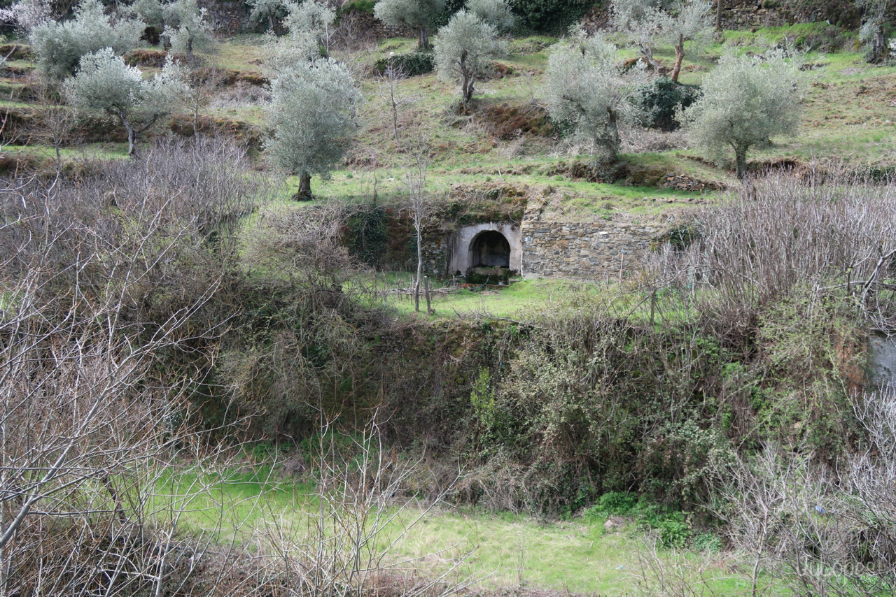 IMG_0101.jpg IMG_0101.jpg