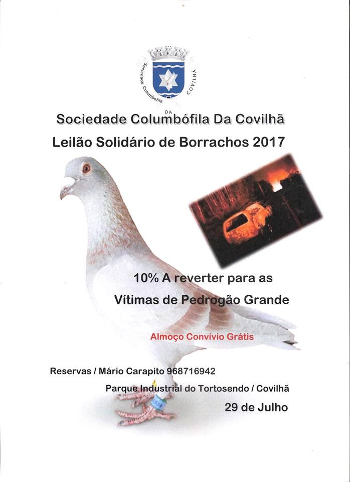 Leilão Covilhã.jpg