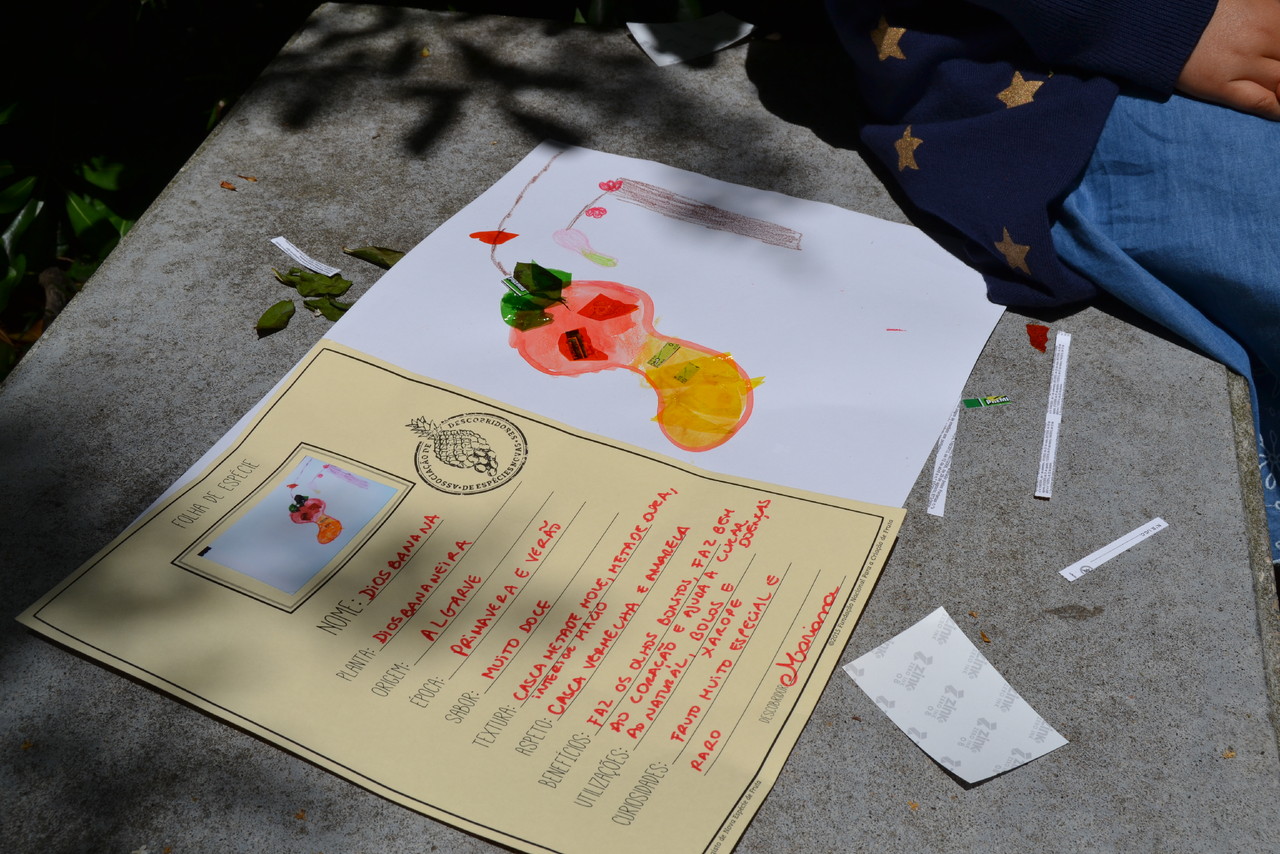 DSC_0970.JPG DSC_0970.JPG