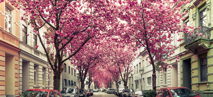 18574345_Jbq7q.png 18574345_Jbq7q.png