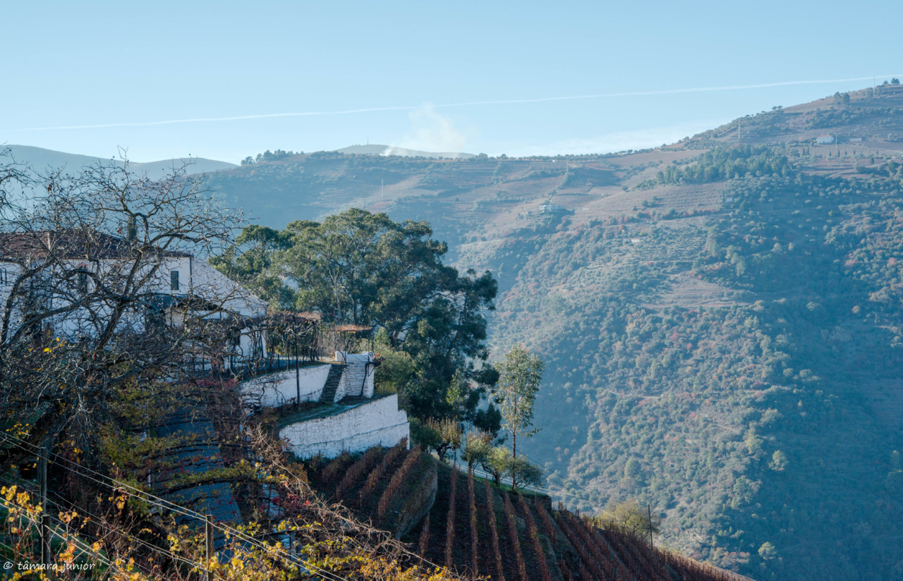 2017.- Pelo Douro no outono II (532).jpg 2017.- Pelo Douro no outono II (532).jpg