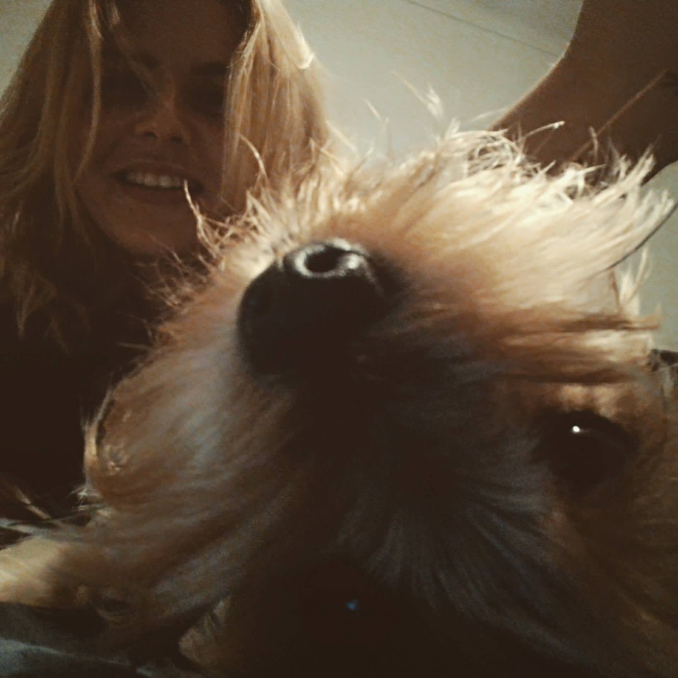 22279165_1896234837071600_584790871_o.jpg.crdownlo