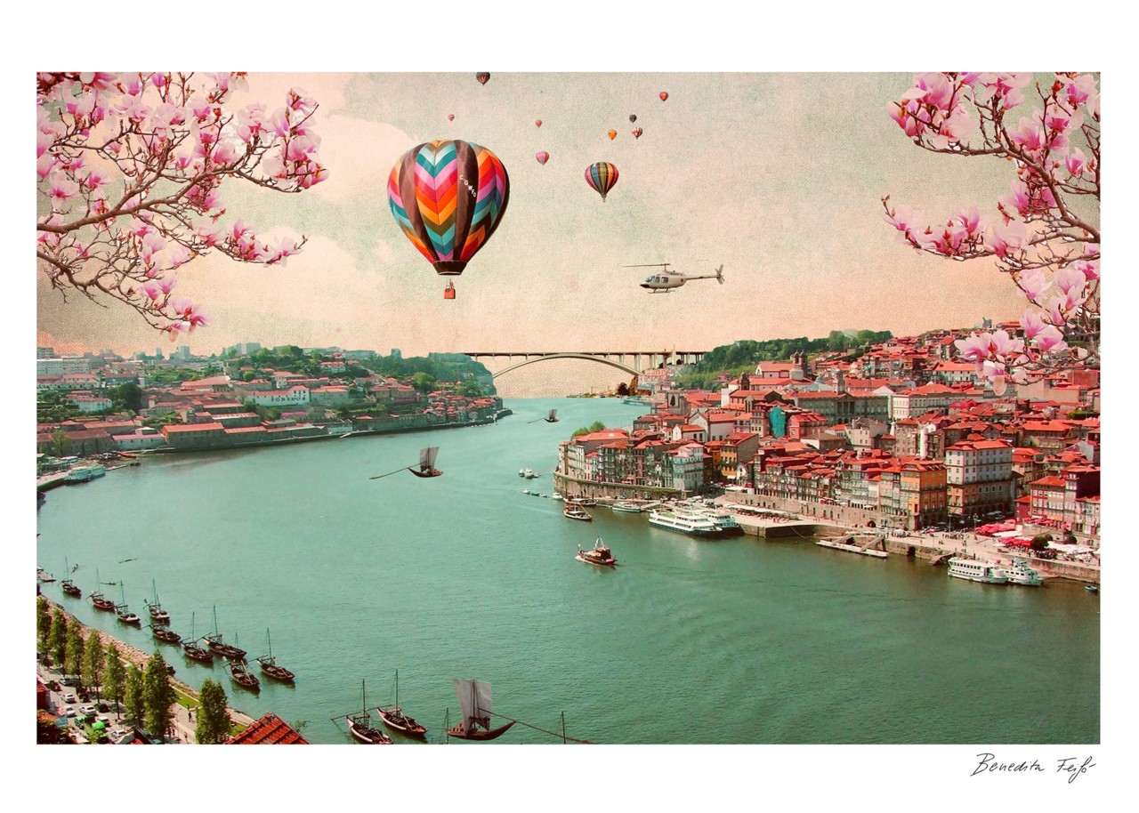 22424336_1593871864010222_7673360216638036305_o.jp