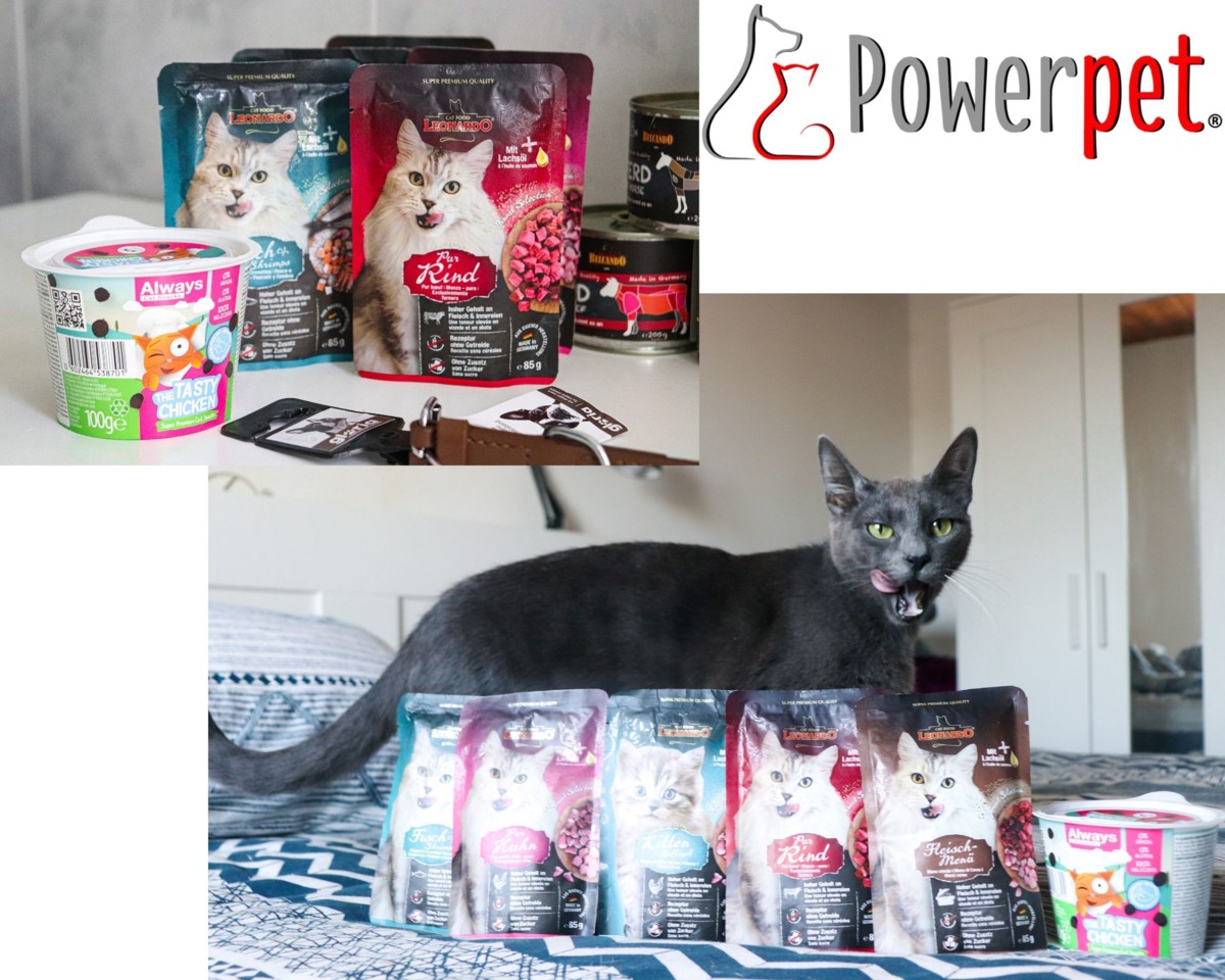 Powepetcats.jpg Powepetcats.jpg