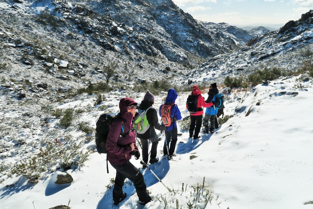 IMG_0071.JPG IMG_0071.JPG