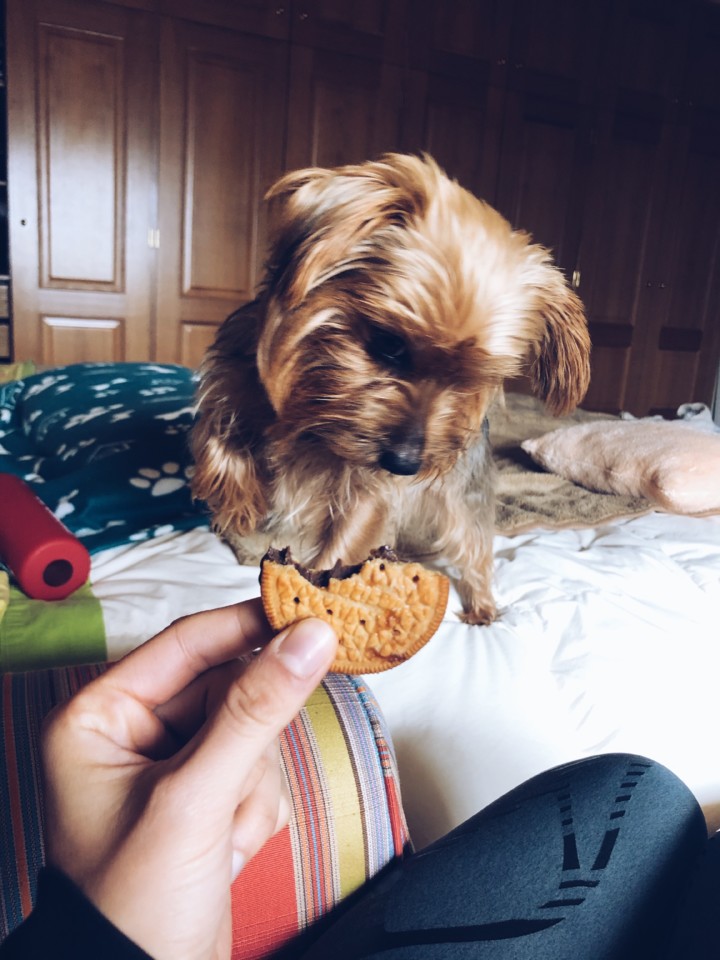 01EC6A8F-5BA6-4E5A-9867-A655318DFF65.JPG 01EC6A8F-5BA6-4E5A-9867-A655318DFF65.JPG