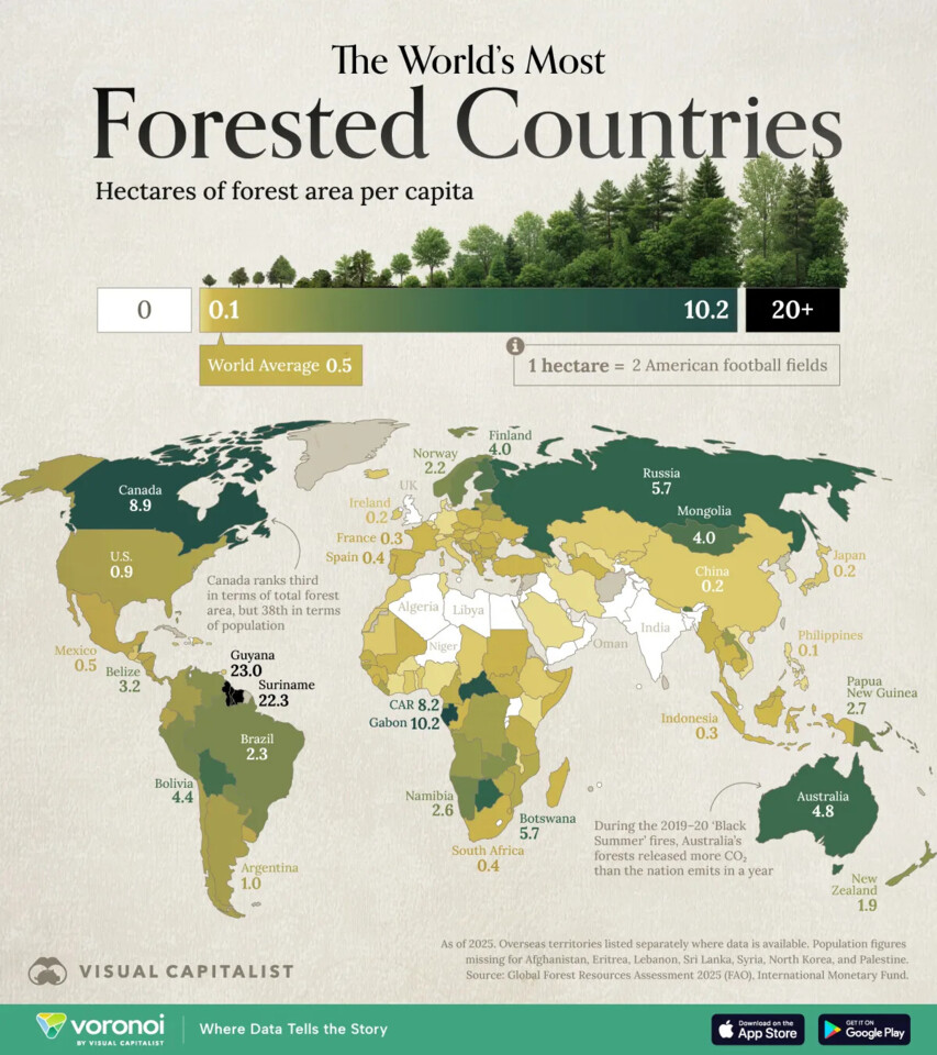 Forest-Area-per-Capita.webp