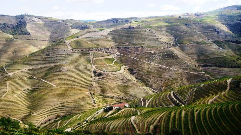 douro.jpg