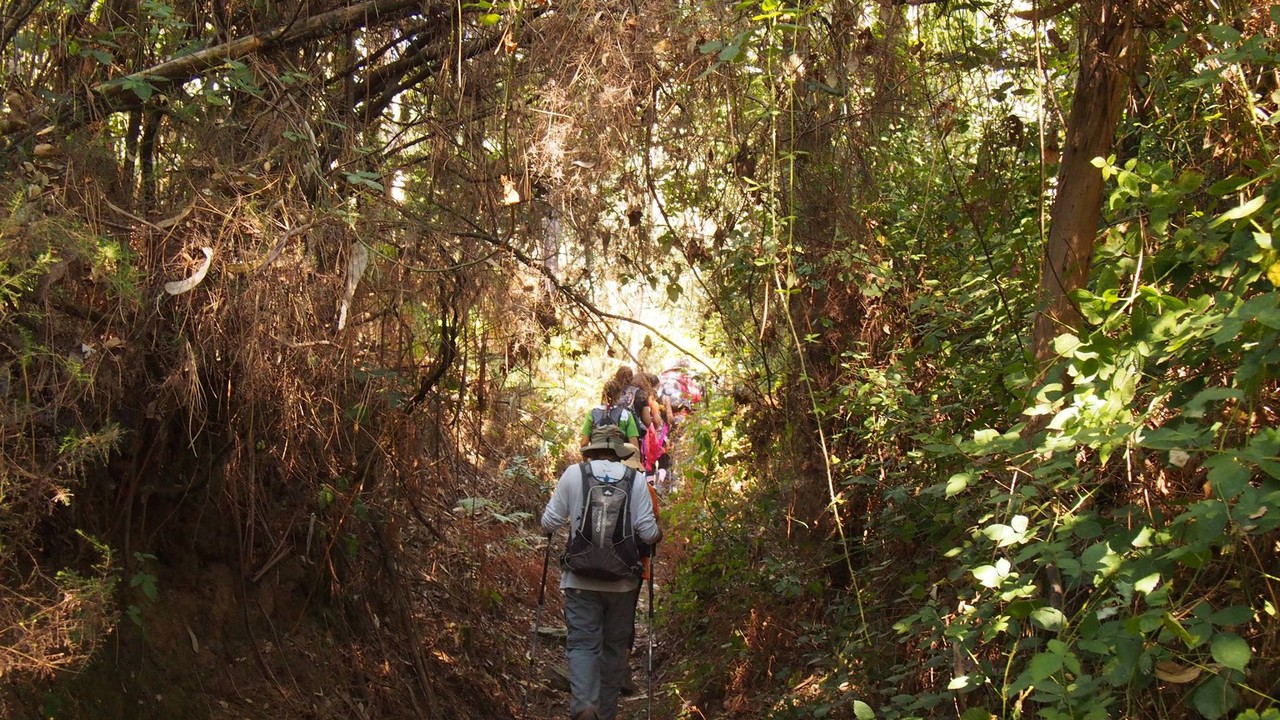 21586947_1799091676770917_7188295532487490429_o.jp