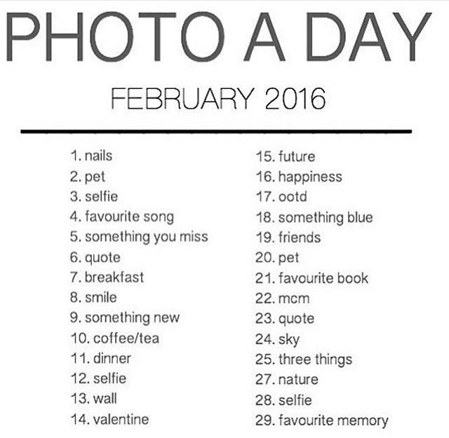 photoaday.jpg