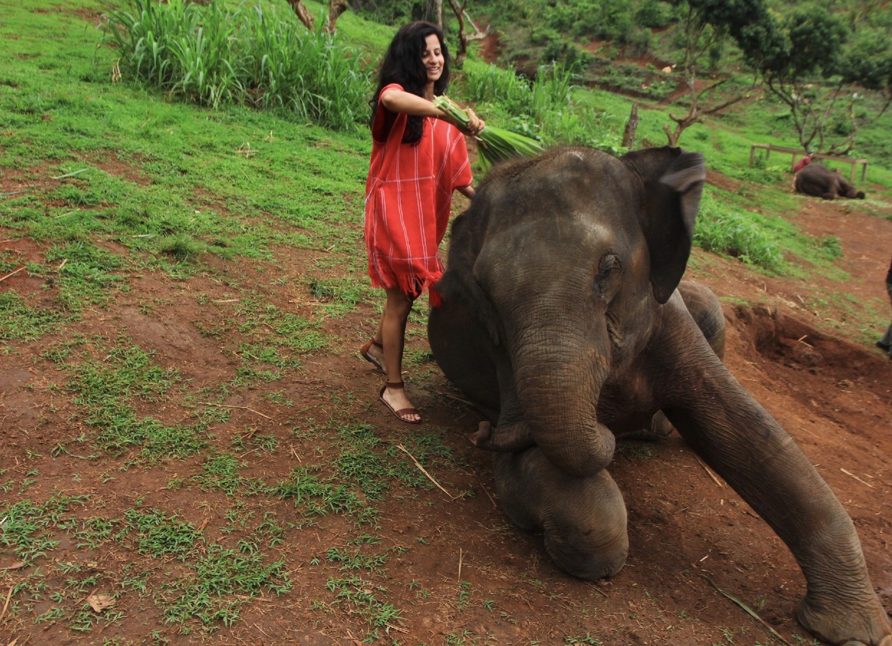 IMG_0188.jpg IMG_0188.jpg