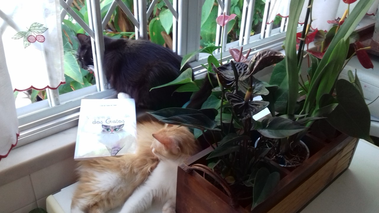 20170730_155629.jpg 20170730_155629.jpg