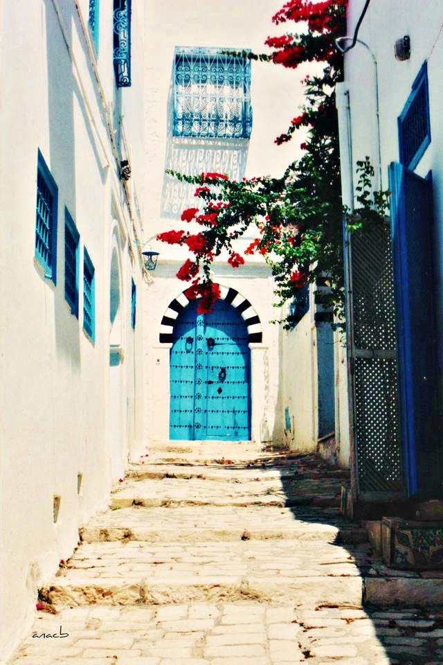 ao acaso #40 Sidi Bou Said, Tunísia.jpg