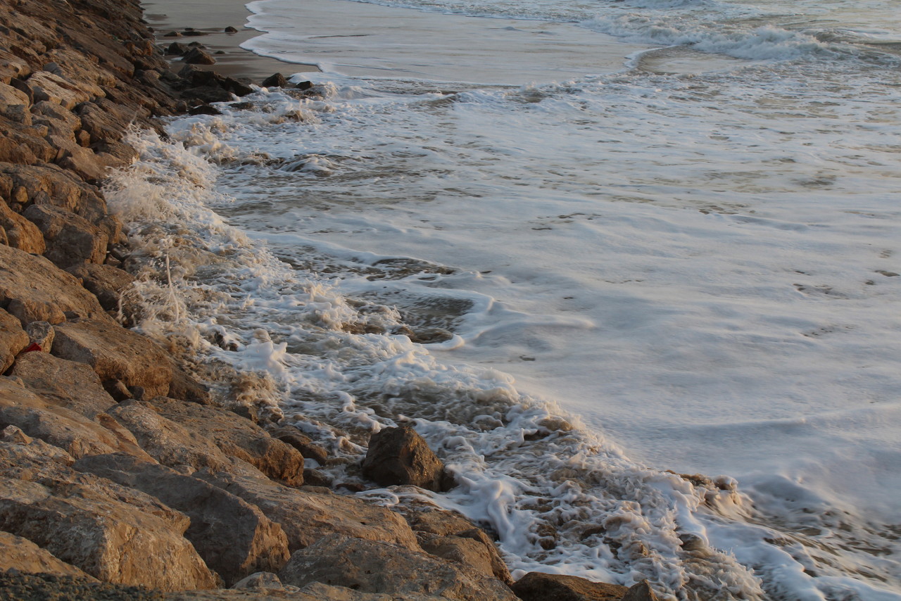 IMG_0212.JPG IMG_0212.JPG