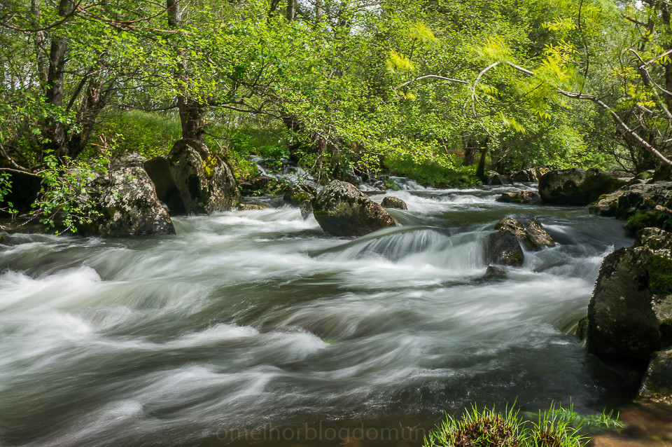 _DSC6529.jpg _DSC6529.jpg