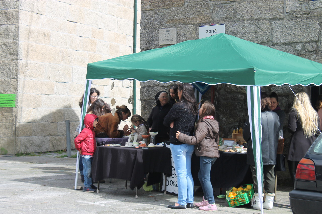 IMG_0439 - Cópia.JPG