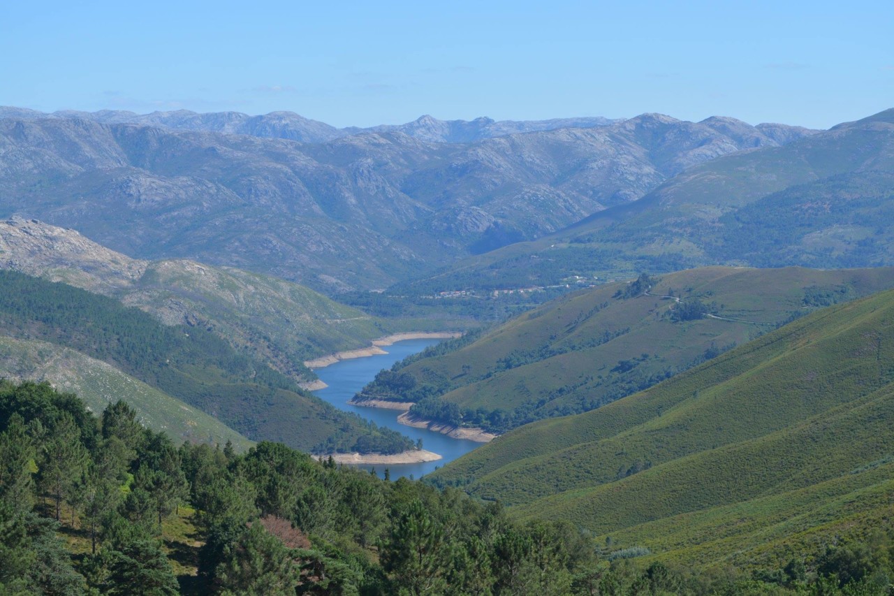 40828164_2140278576193914_2499994274230173696_n.jp