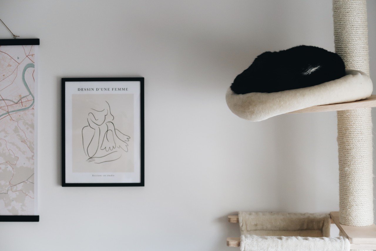 desenio-dessein-dun-femme.jpg