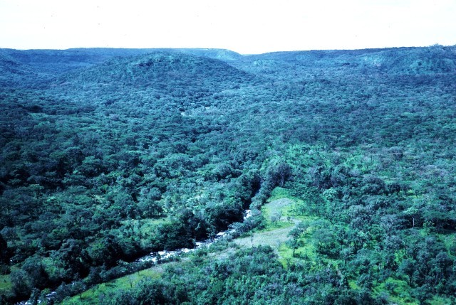 s floresta alto chicapa