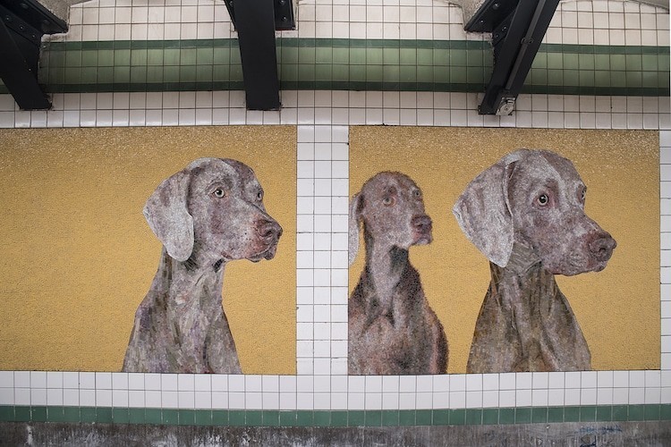 william-wegman-stationary-figures-1.jpg william-wegman-stationary-figures-1.jpg