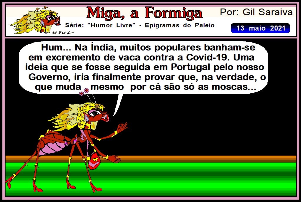 MIGA970.JPG