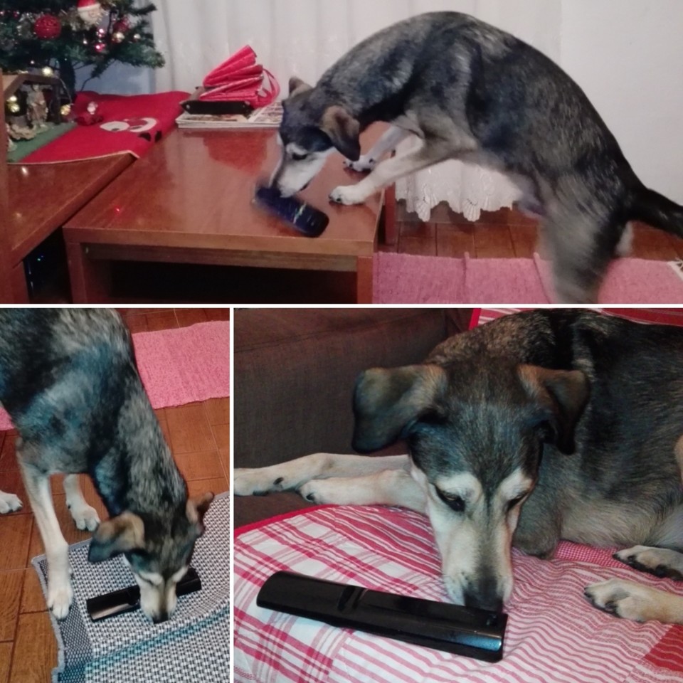 IMG_20181209_021031.jpg IMG_20181209_021031.jpg