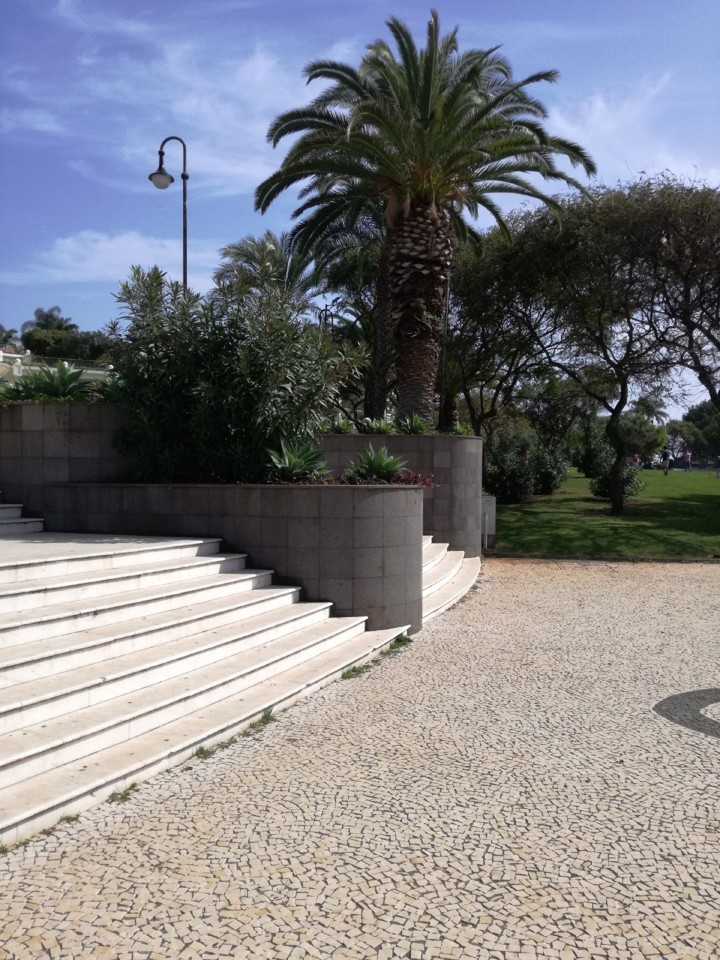 IMG_20190224_120244.jpg IMG_20190224_120244.jpg