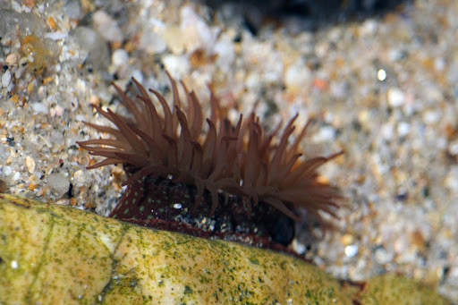 unnamed (1).jpg unnamed (1).jpg