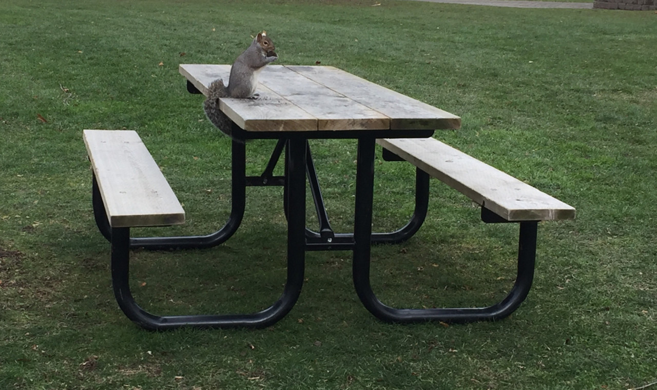 IMG_8766.jpg IMG_8766.jpg