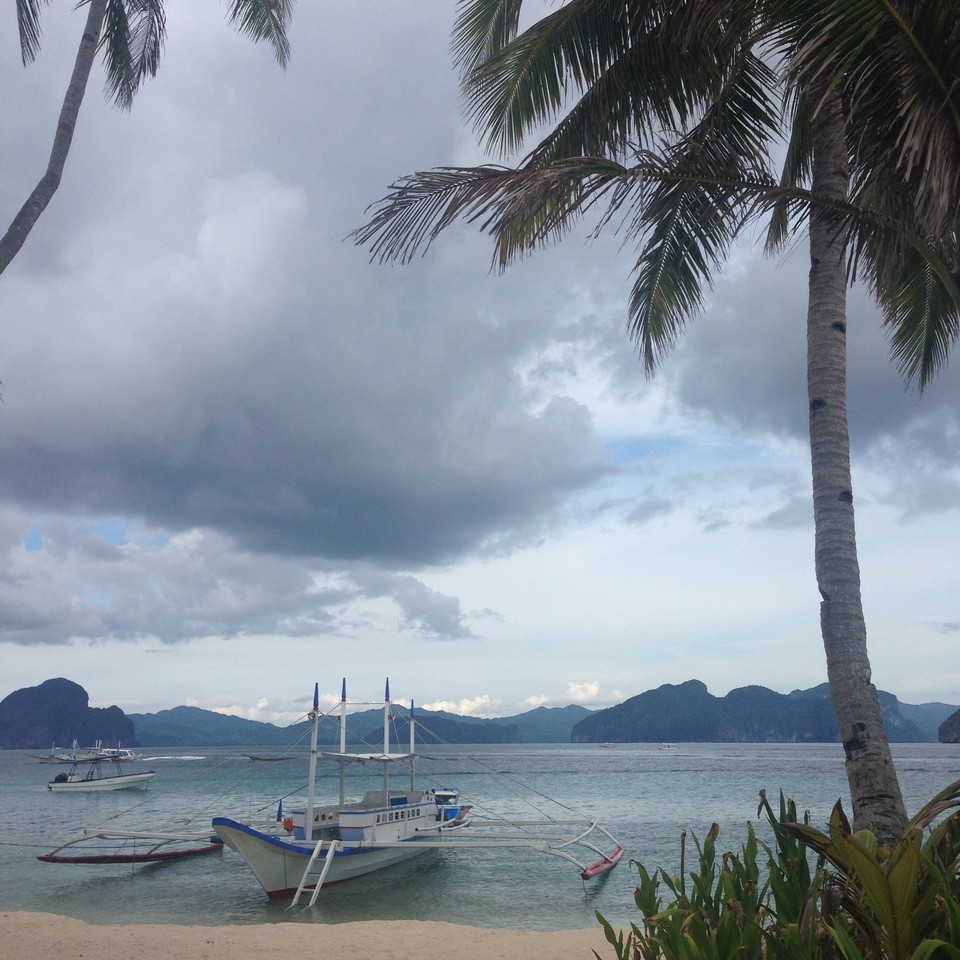 IMG_8734.JPG IMG_8734.JPG